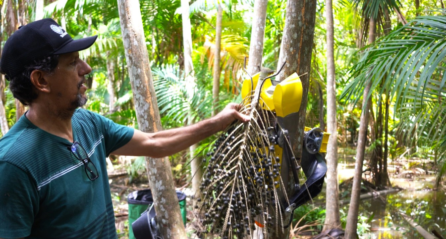 CONDEMAT+ apoia ação de fortalecimento da Cadeia Produtiva Local na região