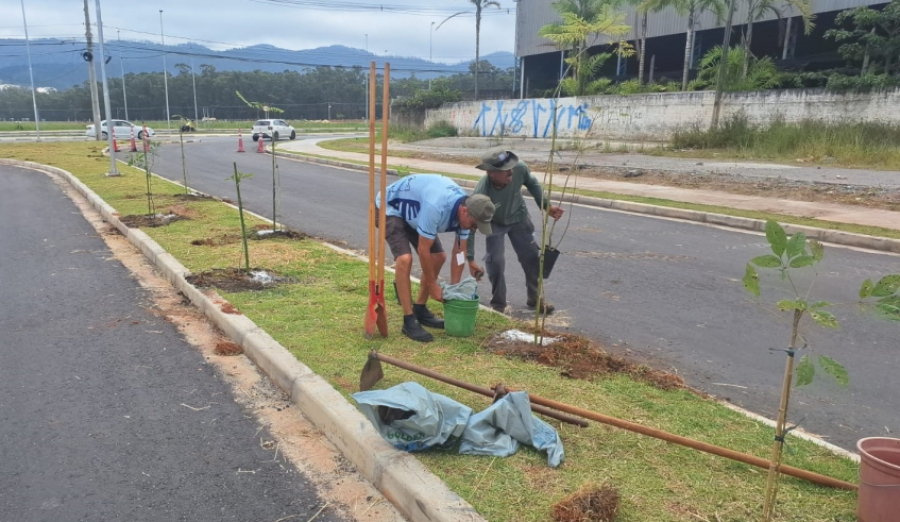 Plano de Arborização Urbana dá início ao trabalho de plantio de mudas no Corredor Nordeste
