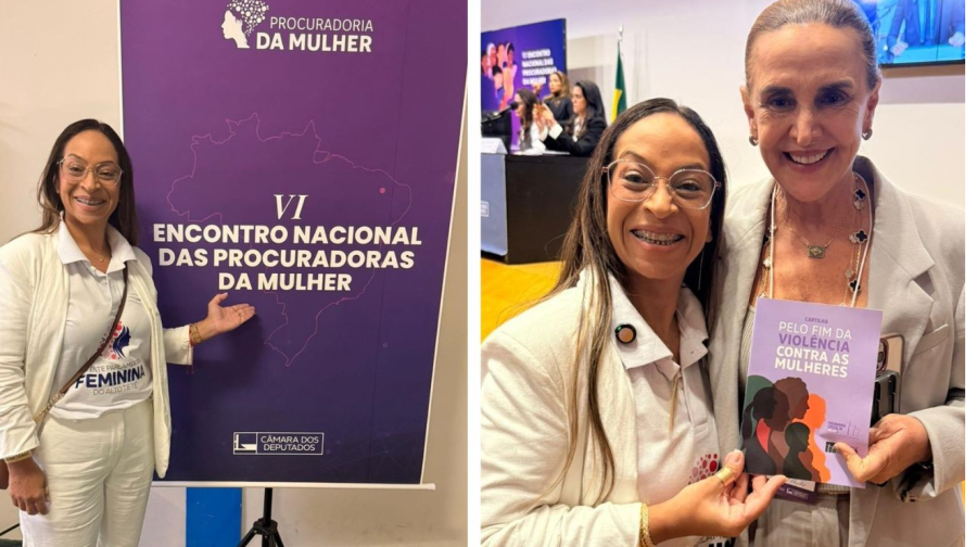 Professora Cris apresenta demandas das mulheres do Alto Tietê em Brasília