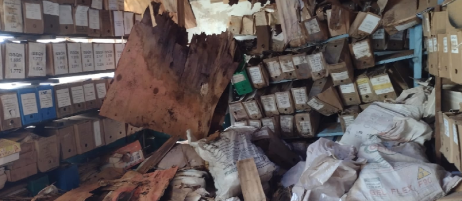 Fiscalização surpresa do TCESP em escolas flagra mofo, descontrole de estoque e falhas em almoxarifados