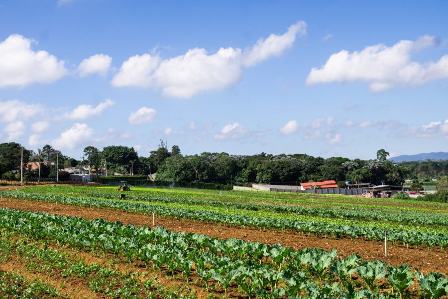 CONDEMAT+ e Senac abrem inscrições para novo curso sobre turismo rural e regenerativo no Alto Tietê