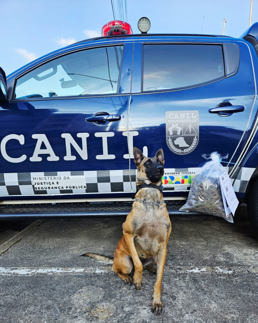 GCM de Suzano apreende mais de quatro quilos de drogas no feriado prolongado