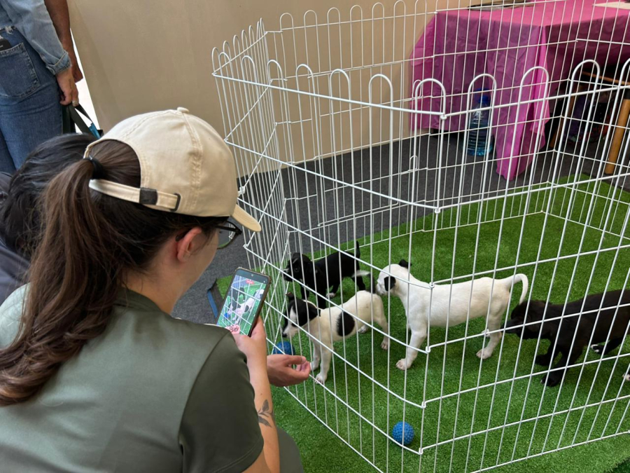 ‘Baby, me Leva!’ retorna ao Suzano Shopping neste sábado