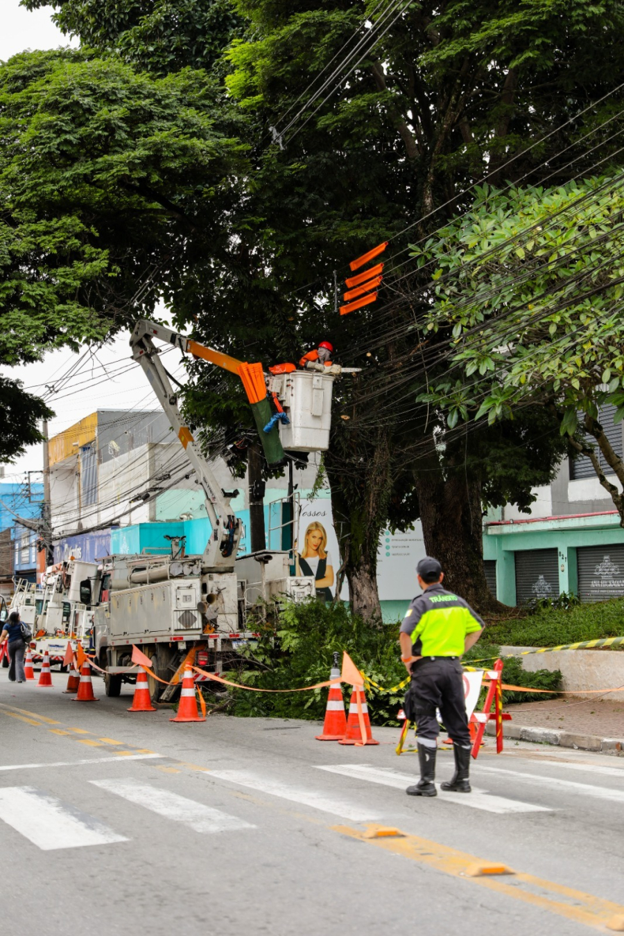 Secretaria de Serviços Urbanos realiza Dia D de podas de árvores na Avenida Brasil em parceria com a EDP