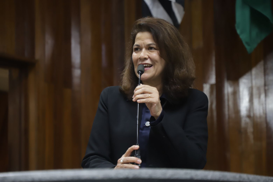 Vereadora Priscila Yamagami tem projeto aprovado que cria programa de apoio e geração de renda para mães atípicas em Mogi das Cruzes