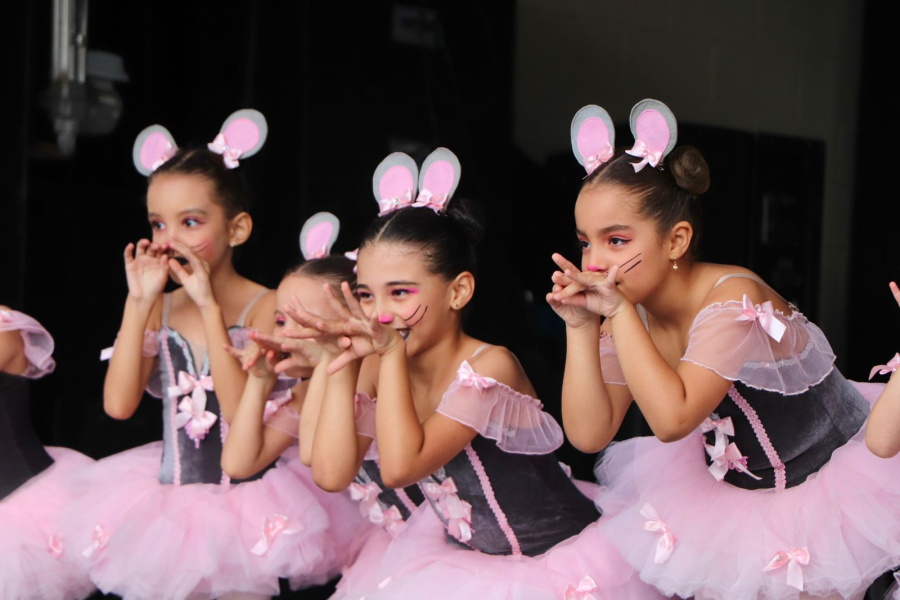 Parque do Mirante recebe encerramento da 6ª Mostra de Dança neste domingo