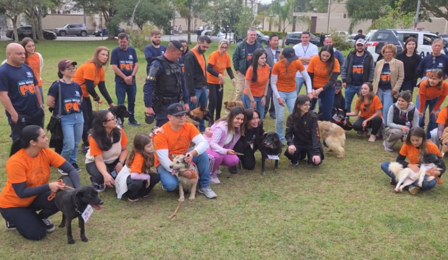 Julho Dourado começa e oferecerá programação voltada à proteção animal completa durante o mês