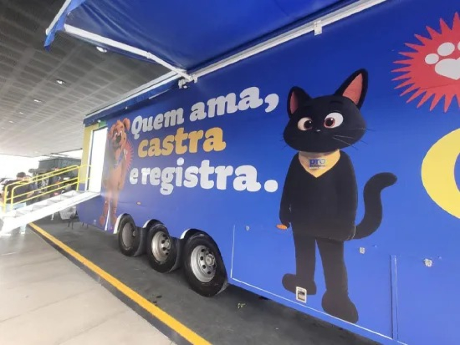 Mutirão oferece 600 castrações gratuitas em Mogi das Cruzes e Biritiba Mirim neste fim de semana