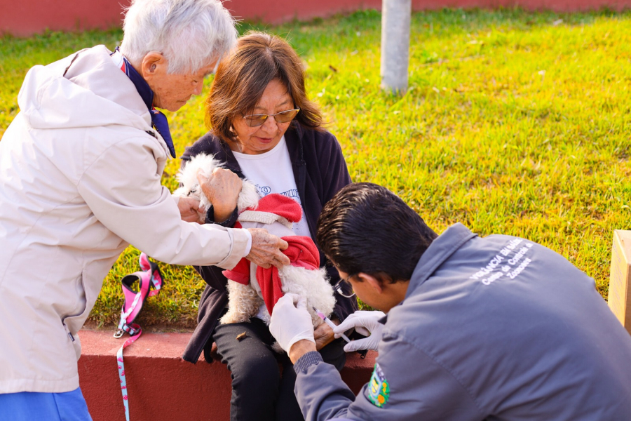 Prefeitura de Guararema realiza nova etapa da vacinação antirrábica de cães e gatos