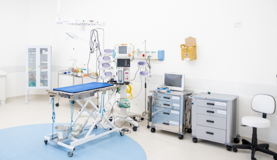 Hospital Veterinário 24h de Mogi terá atendimento gratuito com prioridade para famílias de baixa renda