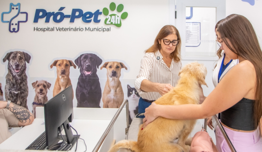 Mara Bertaiolli apresenta Hospital Veterinário Municipal Pró-Pet 24 horas à imprensa em visita monitorada
